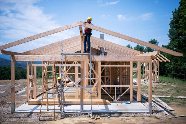 Best New Roof Installation  in Carrollwood, FL