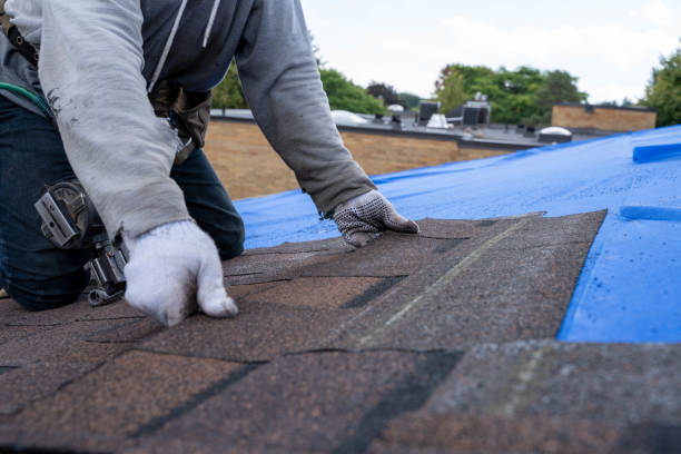 Best Roof Leak Repair  in Carrollwood, FL
