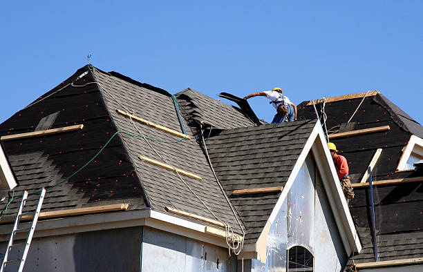Best Residential Roofing Contractor  in Carrollwood, FL
