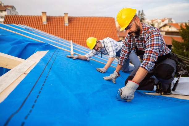 Best Shingle Roofing Installation  in Carrollwood, FL