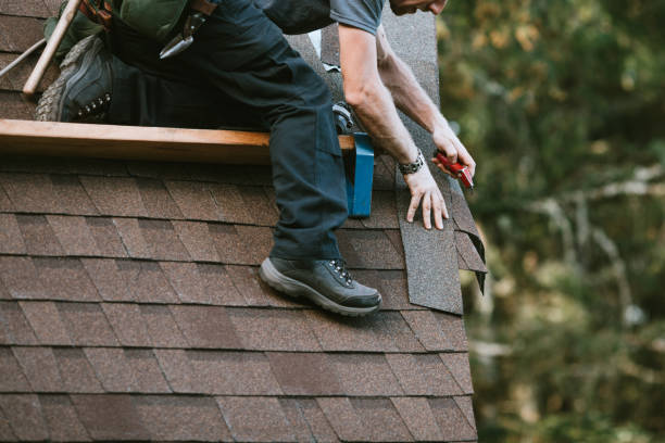 Best Best Roofing Contractors  in Carrollwood, FL