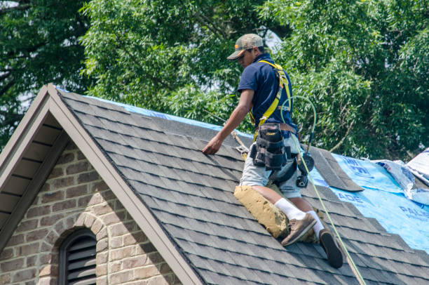 Reliable Carrollwood, FL Roofing Contractor Solutions
